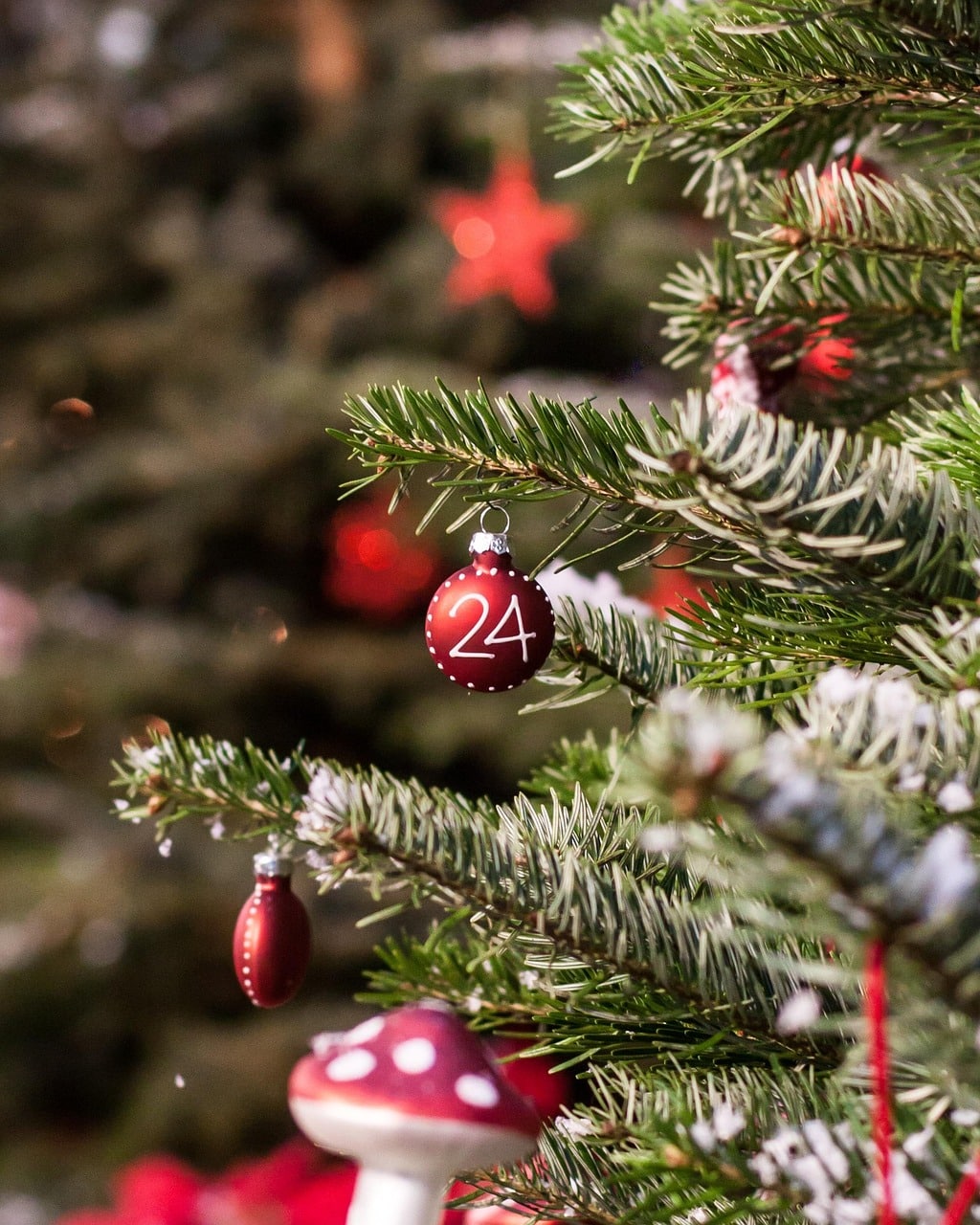 Juletræer til skarpe priser!🎄